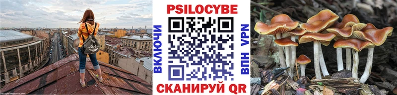 кракен маркетплейс  Удомля  Галлюциногенные грибы Psilocybine cubensis 